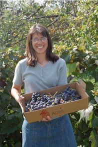 farm shop photo